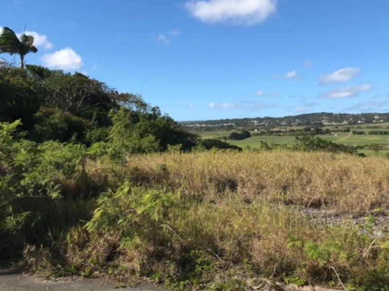 Land For Sale in Stepney Barbados